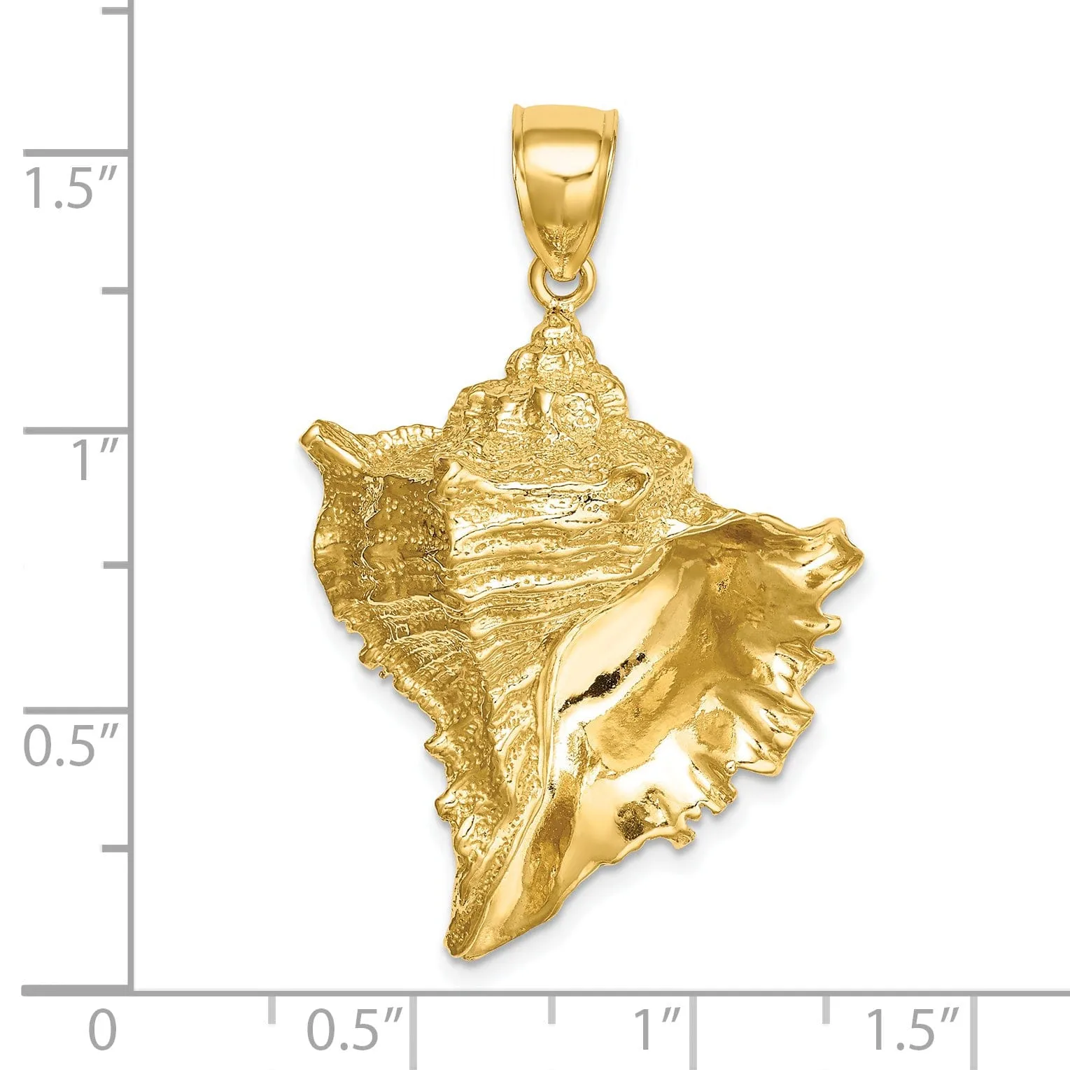 14K Yellow Gold Open Back Solid Polished Textured Finish 2-Dimensional Shell Charm Pendant