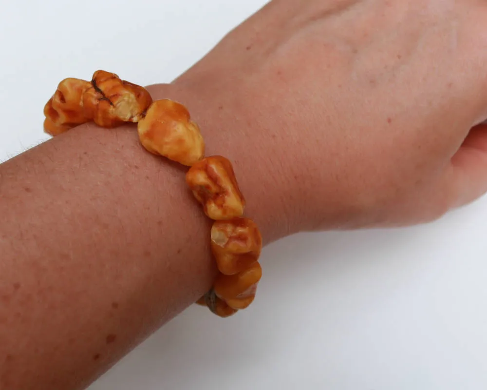 Baltic Amber Nodule Drop Bracelet Natural Untreated Raw  7.5″ 13.8 gram