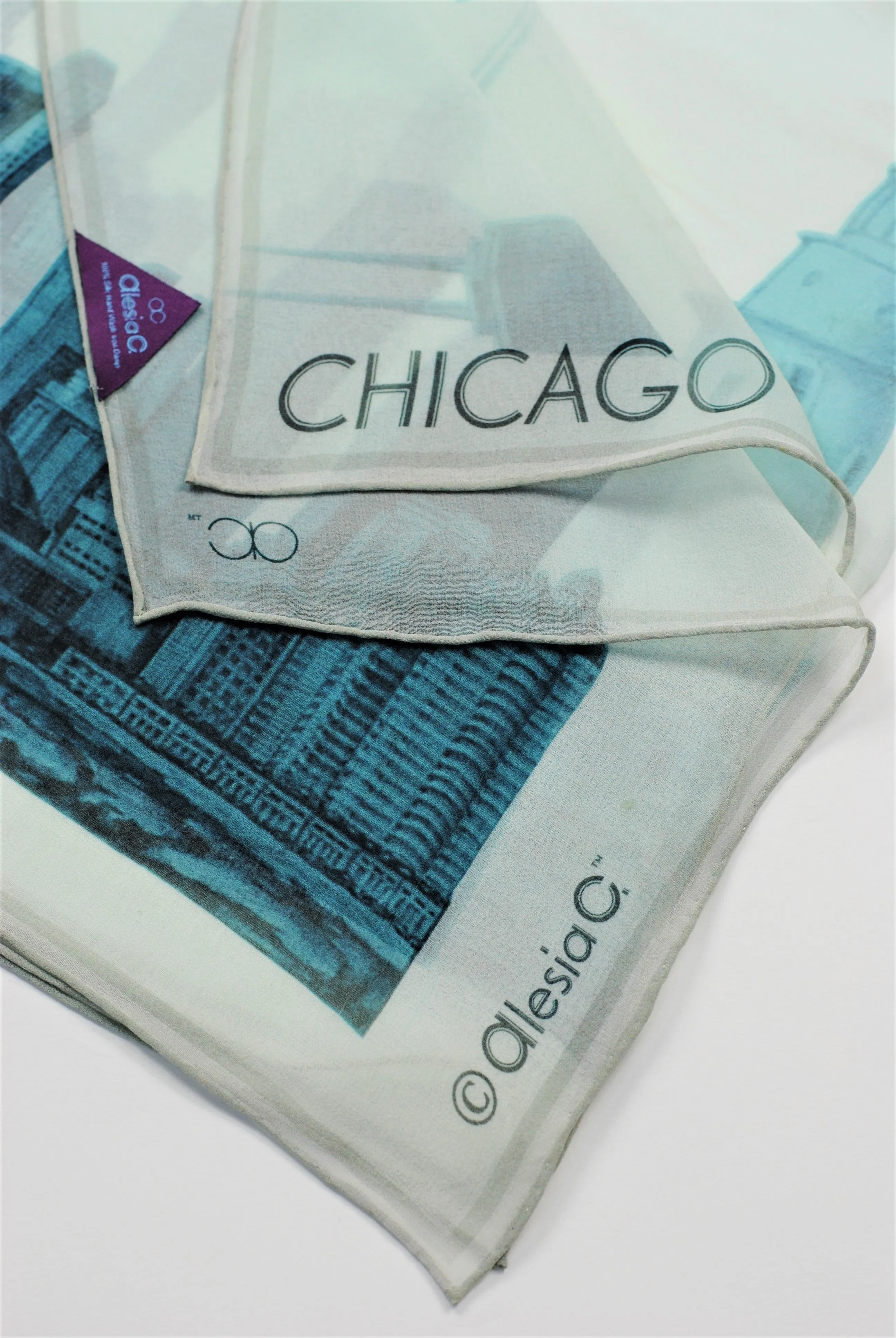 CHICAGO Skyline Designer 100% Silk Georgette Long Rectangle Scarf in Blue White