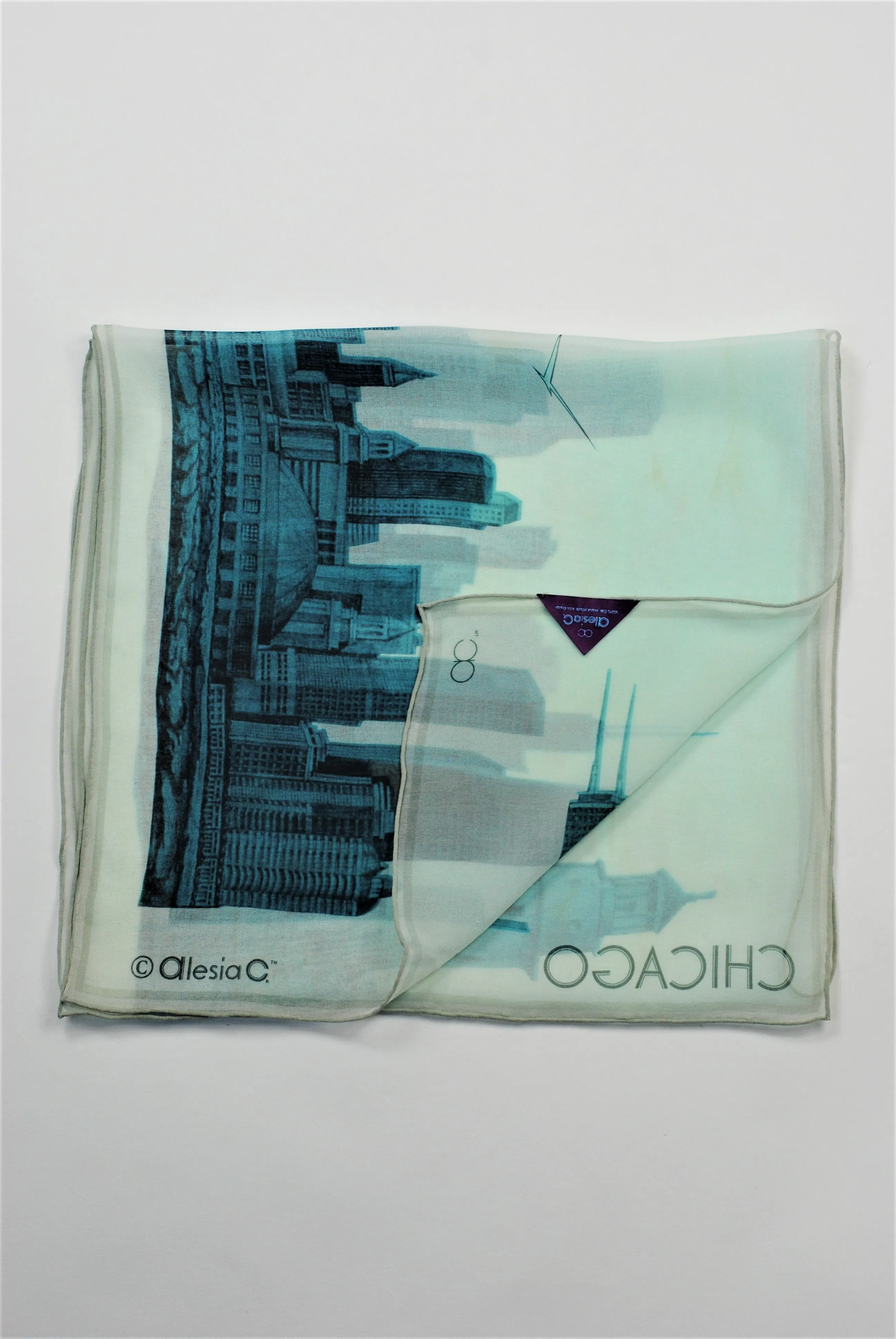 CHICAGO Skyline Designer 100% Silk Georgette Long Rectangle Scarf in Blue White