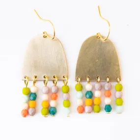 Colorful Fringe Earrings- WS