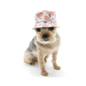 Dogo Pet Bucket Lemon Pink Dog Hat