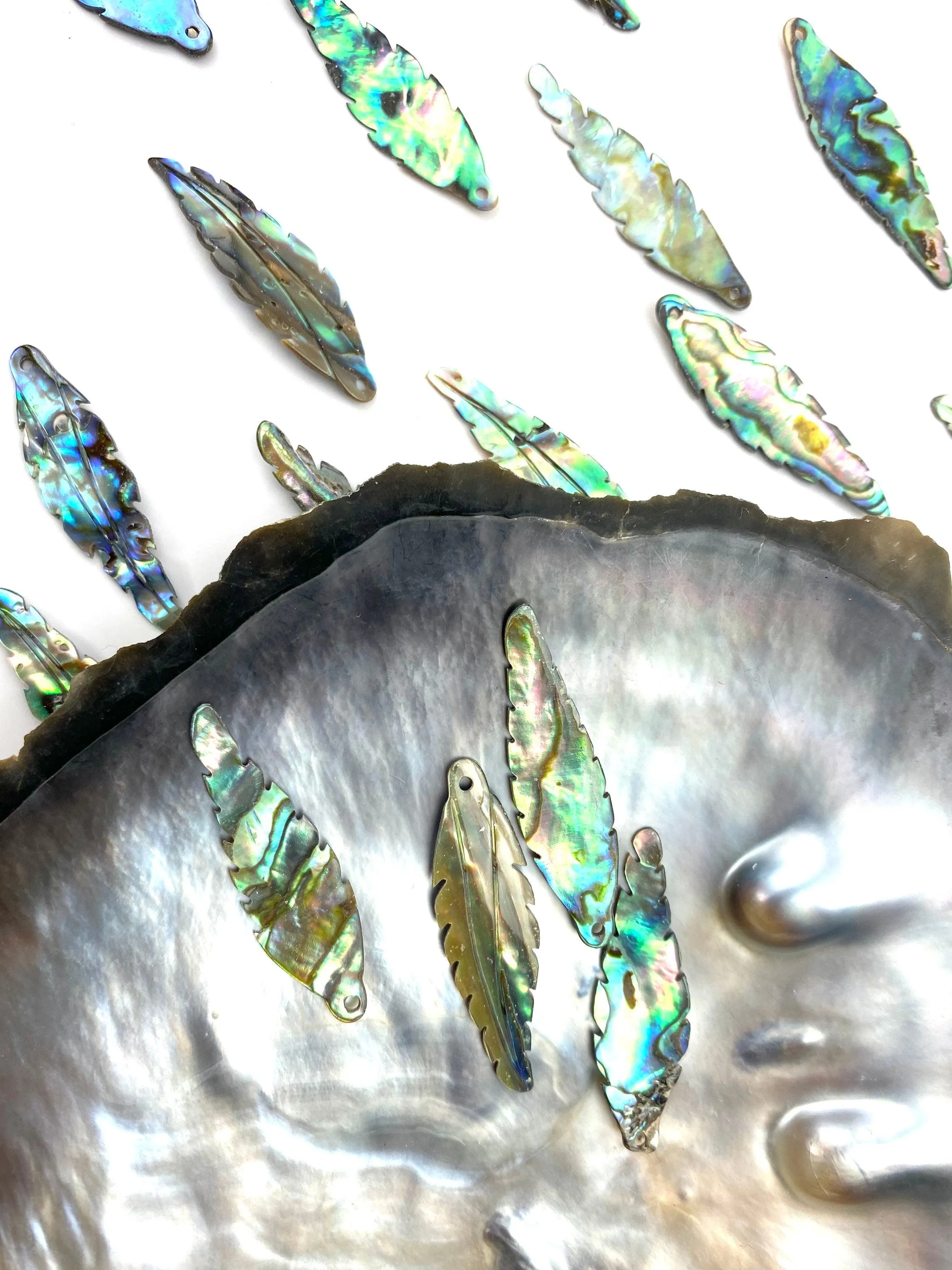 Leaf abalone mother of pearl, SKU# M844