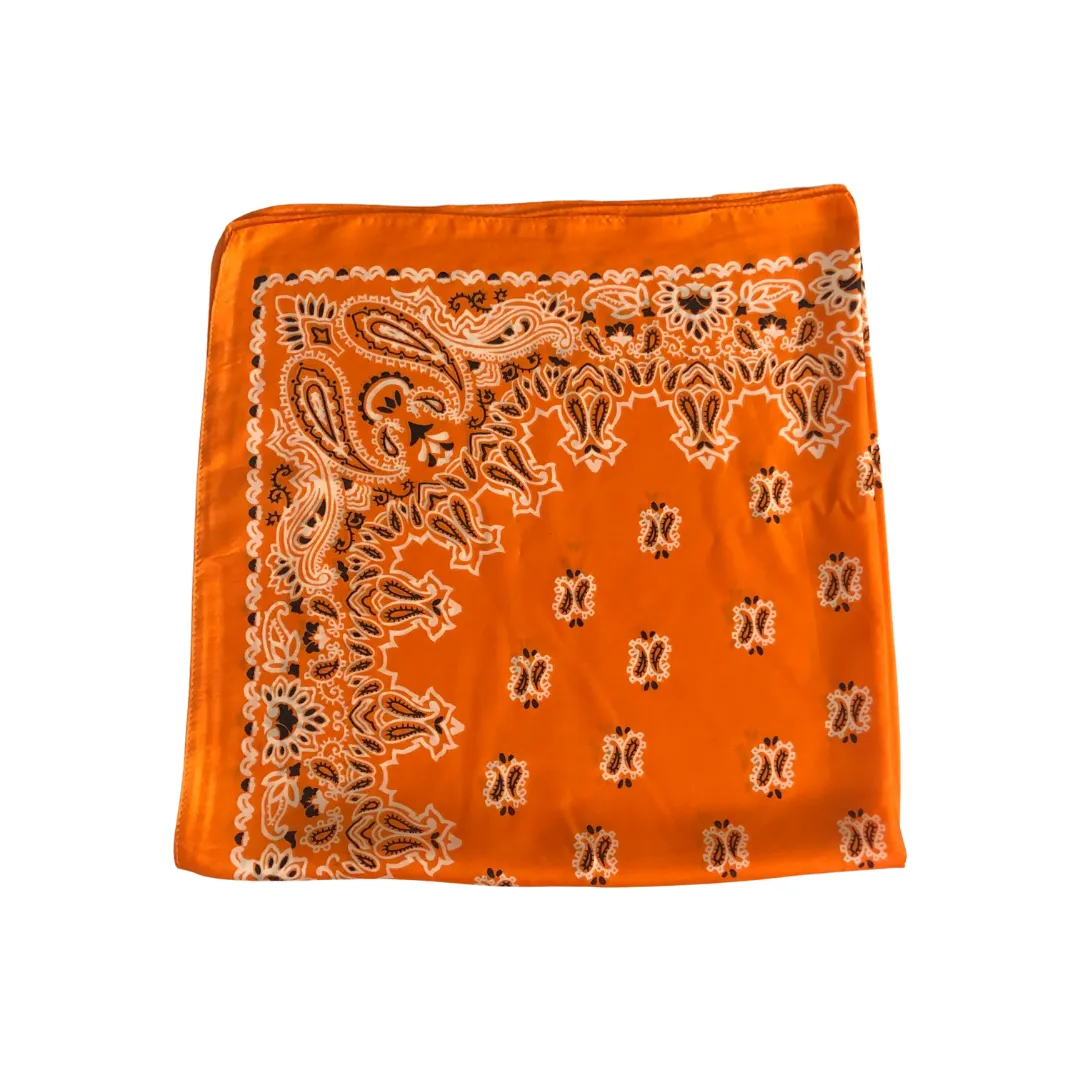 Paisley Necktie Poly Silk Scarf - Orange